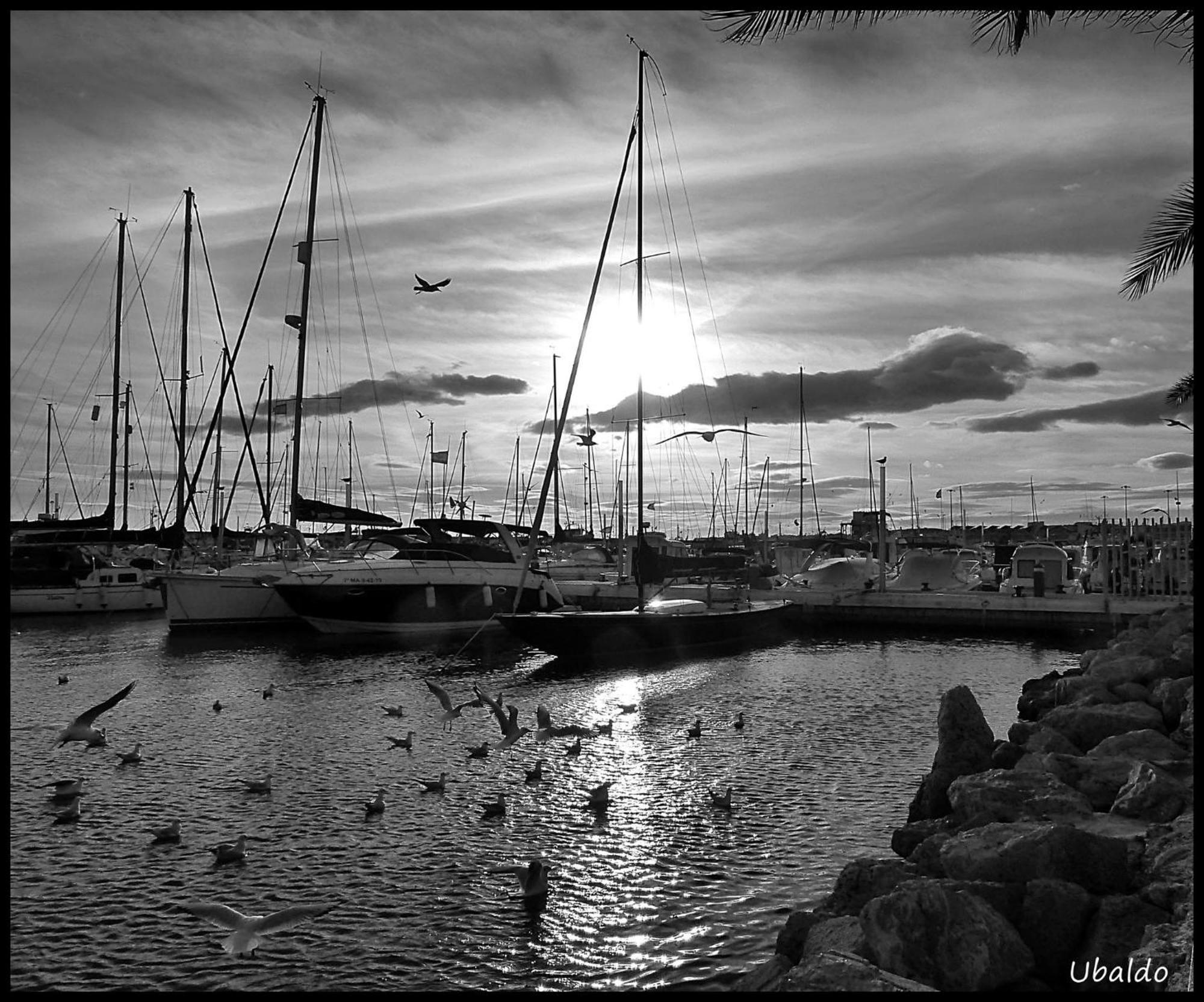 Vila Brisas Del Mar Caleta De Velez Exteriér fotografie